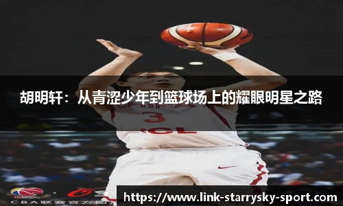 星空体育官网下载