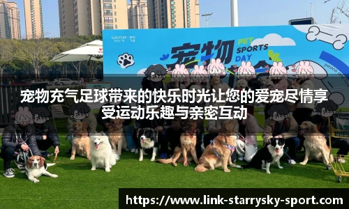 宠物充气足球带来的快乐时光让您的爱宠尽情享受运动乐趣与亲密互动